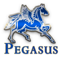 Pegasus® Butterfly Saddles