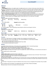 Load image into Gallery viewer, Prestige X-ADVANCED K MonoFlap Cross-Country Saddle