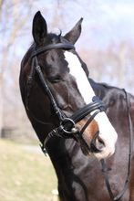Load image into Gallery viewer, Pegasus® Mary Snaffle Bridle with Flash