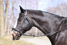 Load image into Gallery viewer, Pegasus® Mary Snaffle Bridle with Flash
