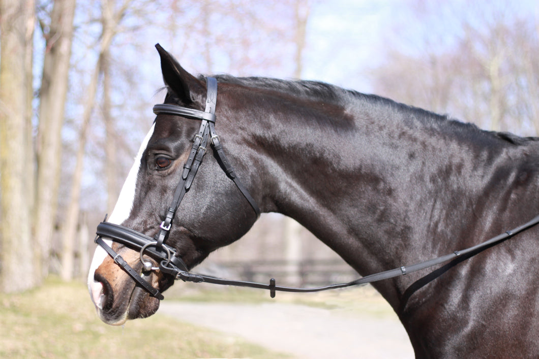Pegasus® Mary Snaffle Bridle with Flash